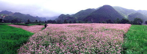 開陽十里畫廊