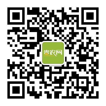 貴農(nóng)網(wǎng)的微信公眾號(hào)二維碼